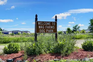 10646 Mississippi Dunes Trail S, Cottage Grove, MN 55016 - Photo 42