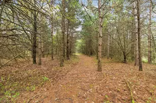 14433 50th St S, Afton, MN 55001 - Photo 30