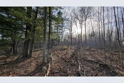 Tbd Honkers Hollow, Danbury, WI 54830 - Photo 2