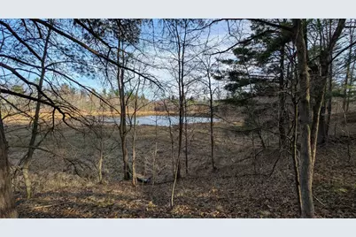 Tbd Honkers Hollow, Danbury, WI 54830 - Photo 1