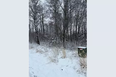 Tbd Pine Creek Drive NW, Angle Inlet, MN 56711 - Photo 4