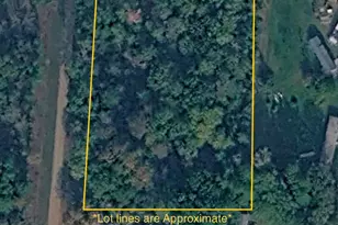 Tbd Pine Creek Dr NW, Angle Inlet, MN 56711 - Photo 1