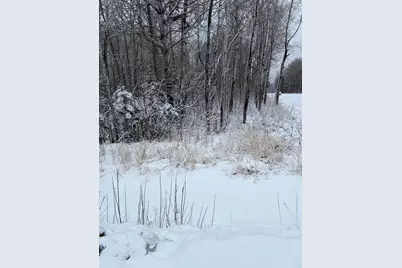Tbd Pine Creek Drive NW, Angle Inlet, MN 56711 - Photo 6