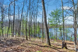 N291 Balsam Lake Rd, Birchwood, WI 54817 - Photo 6