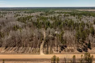 31141 170th St, Akeley, MN 56433 - Photo 40