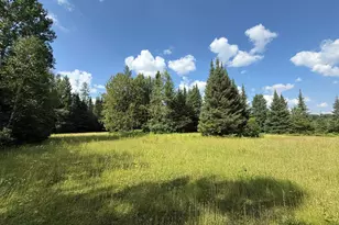 8124 Virginia Ely Rd, Babbitt, MN 55706 - Photo 92
