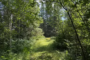 8124 Virginia Ely Rd, Babbitt, MN 55706 - Photo 82