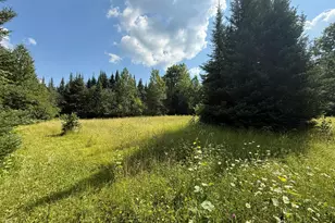 8124 Virginia Ely Rd, Babbitt, MN 55706 - Photo 90