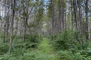 8124 Virginia Ely Rd, Babbitt, MN 55706 - Photo 94