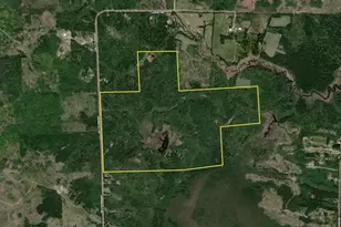 8124 Virginia Ely Rd, Babbitt, MN 55706 - Photo 100