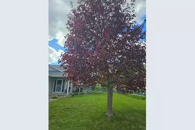 399 5th Avenue SE, Dover, MN 55929 - Photo 26