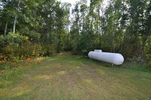 31419 170th St, Akeley, MN 56433 - Photo 54