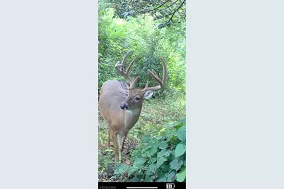 [Address not provided], Red Wing, MN 55066 - Photo 14