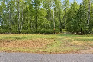 Tbd 470th St, Staples, MN 56479 - Photo 1