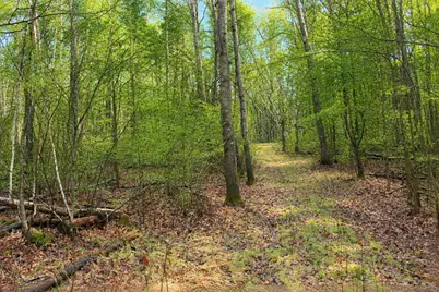 Tbd 470th Street, Staples, MN 56479 - Photo 2