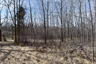 39161 County 39, Laporte, MN 56461 - Photo 90