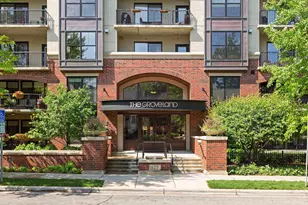 317 Groveland Ave, Minneapolis, MN 55403 - Photo 44