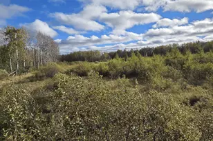 18395 Cottingham Dr, Staples, MN 56479 - Photo 20