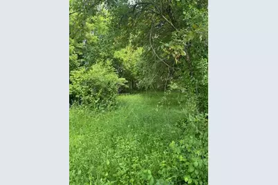 38676 647th Avenue, Watkins, MN 55389 - Photo 6