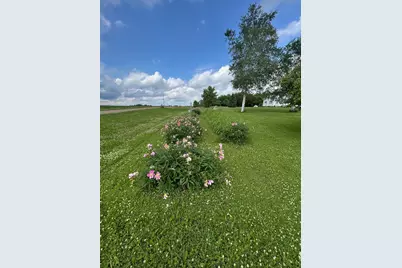 38676 647th Avenue, Watkins, MN 55389 - Photo 16