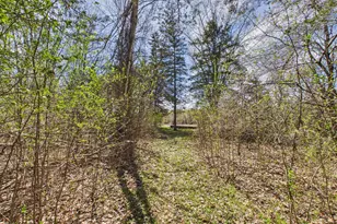 6431 106th St SE, Clear Lake, MN 55319 - Photo 66