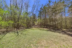 6431 106th St SE, Clear Lake, MN 55319 - Photo 10