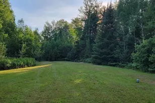 5713 Crane Lake Rd, Buyck, MN 55771 - Photo 46
