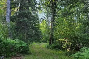 5713 Crane Lake Rd, Buyck, MN 55771 - Photo 42