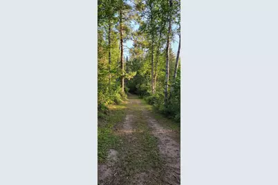 5713 Crane Lake Road, Buyck, MN 55771 - Photo 42