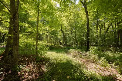 2665 N Boy Lake Trail NE, Remer, MN 56672 - Photo 30