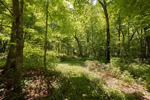 2665 N Boy Lake Trail NE, Remer, MN 56672 - Photo 30