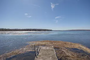2665 N Boy Lake Trail NE, Remer, MN 56672 - Photo 34