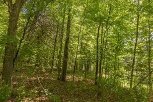 2665 N Boy Lake Trail NE, Remer, MN 56672 - Photo 28