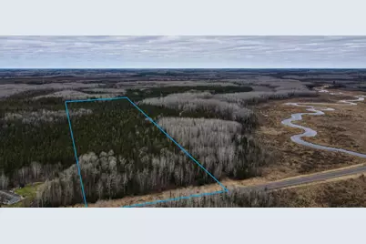 Tbd Hwy 65, Nashwauk, MN 55769 - Photo 1