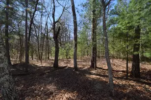 3841 Wintergreen Ln, Danbury, WI 54830 - Photo 82