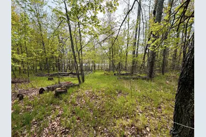15051 S Thorn Lake Loop, Gordon, WI 54838 - Photo 30