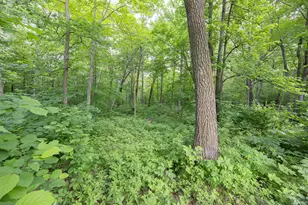 2251 Fahrenholz Rd NE, Longville, MN 56655 - Photo 40