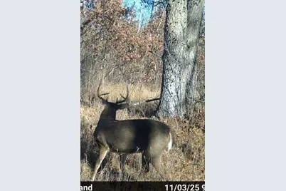 Tbd 32nd Avenue SW, Backus, MN 56435 - Photo 26