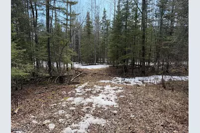 96Xx Gappa Road, Kabetogama, MN 56669 - Photo 2