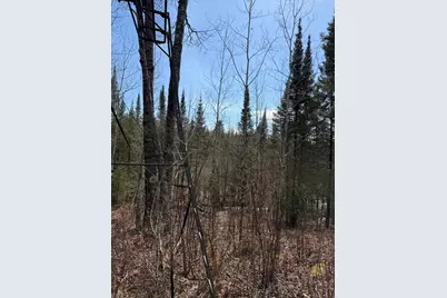 96Xx Gappa Road, Kabetogama, MN 56669 - Photo 10