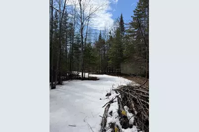 96Xx Gappa Road, Kabetogama, MN 56669 - Photo 6