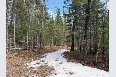 96Xx Gappa Road, Kabetogama, MN 56669 - Photo 4