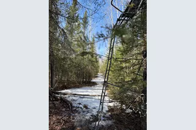 96Xx Gappa Road, Kabetogama, MN 56669 - Photo 8