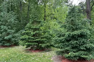 4165 Hilltop Point, Eagan, MN 55123 - Photo 28