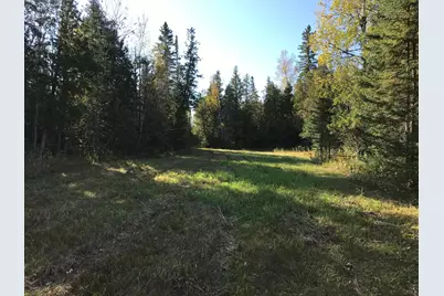 1961 Town Road 118, Birchdale, MN 56629 - Photo 28