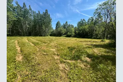 1961 Town Road 118, Birchdale, MN 56629 - Photo 22