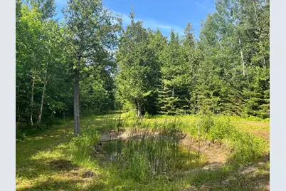 1961 Town Road 118, Birchdale, MN 56629 - Photo 16