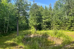 1961 Town Road 118, Birchdale, MN 56629 - Photo 16