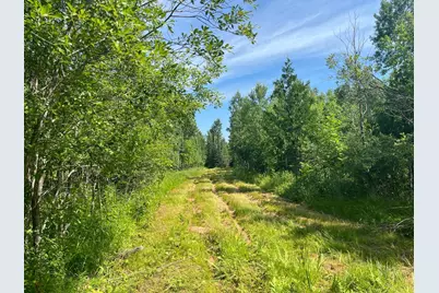 1961 Town Road 118, Birchdale, MN 56629 - Photo 2