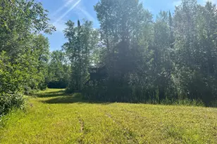 1961 Town Road 118, Birchdale, MN 56629 - Photo 24
